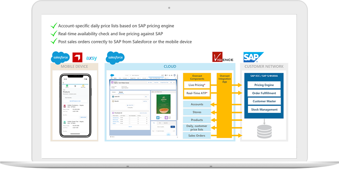 Consumer-Goods-Cloud Valid Study Plan